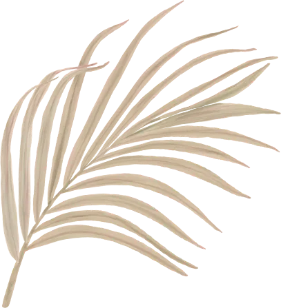 Ornamen daun di sudut kiri atas.