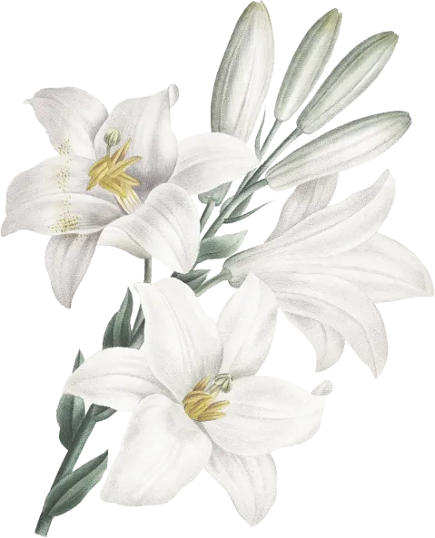 Ornamen bunga di sudut kiri bawah.